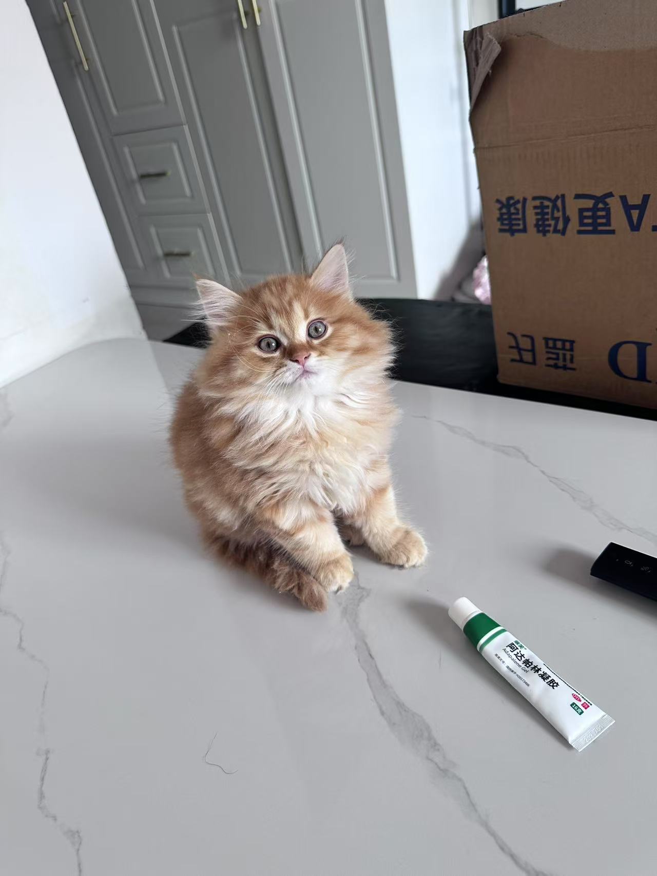 客户行为分析标题1111